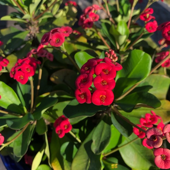 Welcome! - Picture 3 of 8